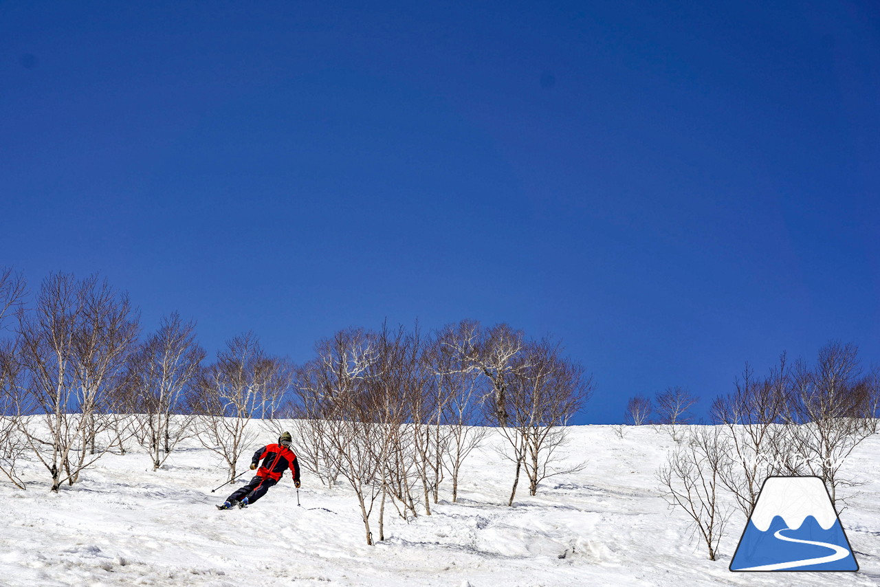 ニセコグラン・ヒラフ DYNASTAR SKI TEST RIDE DAYS Photo Session!!最高の天気に恵まれたニセコに、最高の仲間たちが集まりました☆